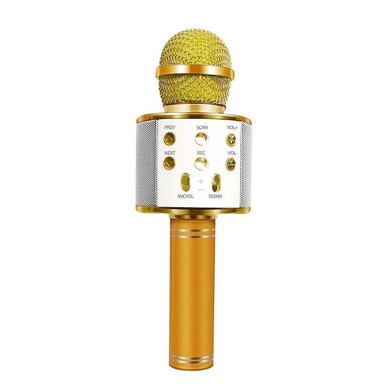 Love Karaoke Microphone (New Upgrade)