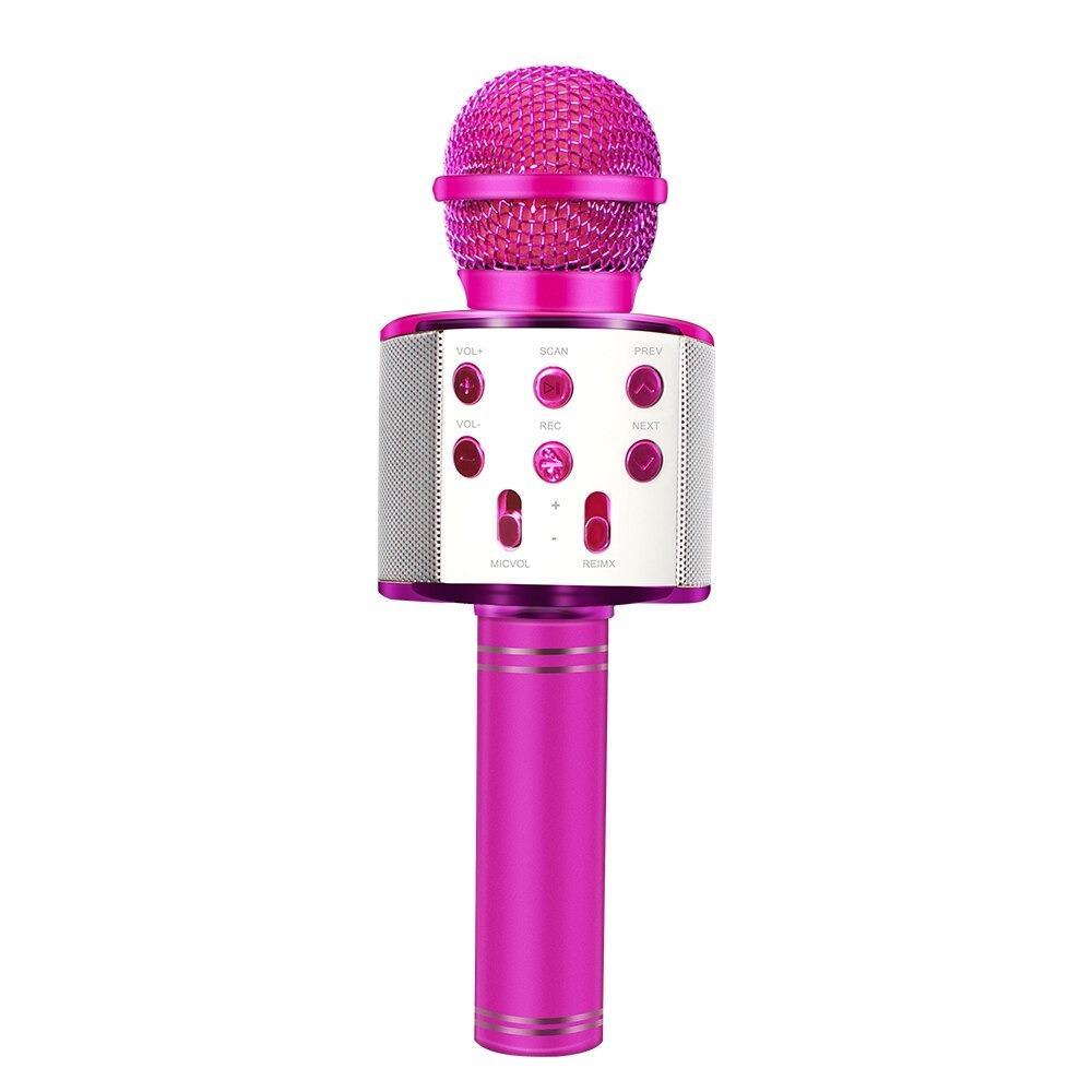 Love Karaoke Microphone (New Upgrade)